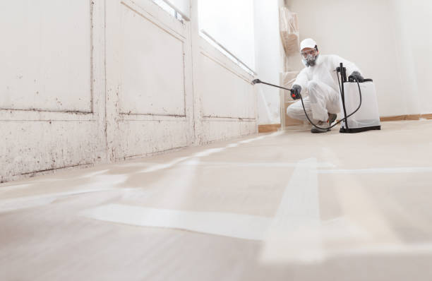 24/7 Emergency Black Mold Remediation experts in Pomfret, MD